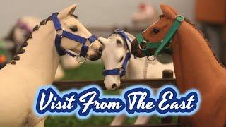 Phoenix Stables SO2 EO4 - Visit From The East - |Schleich Horse Original Series|