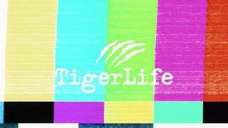 Welcome to TigerLife