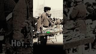 Пирожки с котятами. Брать или нет?    #факты #история #россия
