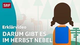 So entsteht Nebel – einfach erklärt | Kindervideos | SRF Kids