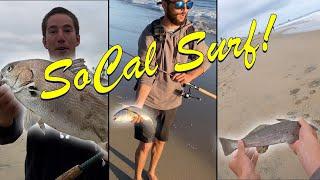 Croaker Trifecta! : Surf Fishing California