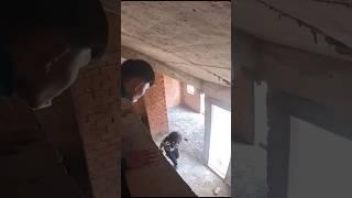 Parkour Squid Game Escaping Serbian Dancing lady part 4 ( parkour pov ) #serbiandancing #squidgame