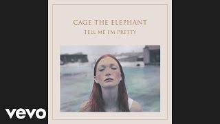 Cage The Elephant - Too Late To Say Goodbye (Audio)