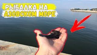 Рыбалка на Азовском море / Рыбалка в Урзуфе / Ловля бычка