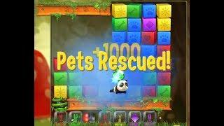 Pet Rescue Saga Level 2548 (easiest gameplay, with boosters)