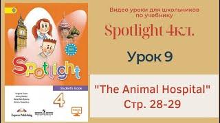 Spotlight 4 кл. (Спотлайт 4кл.)/ Урок 9  "The Animal Hospital" Unit 3b , стр. 28-29