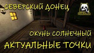 Русская рыбалка 4. рр4. Северский Донец. Актуальные точки на окуня солнечного.