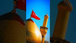 Janum Ali Ali / Nadeem Sarwar #shortsfeed #shortsviral #shorts #viralshorts #viralshort #shortvideo