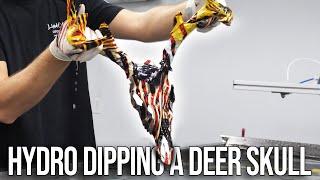 How to HYDRO DIP a Deer Skull