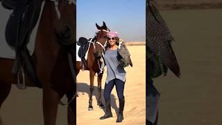 The princesses of Dubai are so fond of horse riding that they ride horses 2 to 3 times a month#short