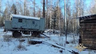 В Иркутской области задержали банду "чёрных лесорубов"