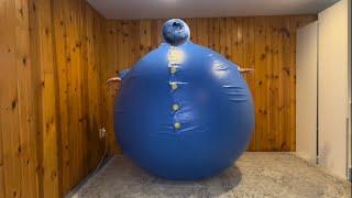 PVC Blueberry Ball Suit Inflation