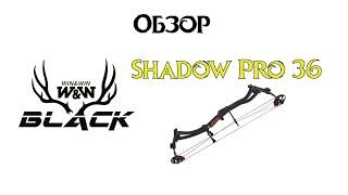 Обзор блочного лука Win&Win Black - Shadow Pro 36