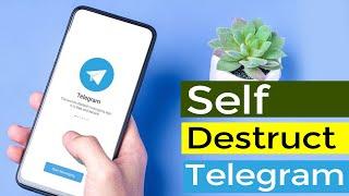 How to use Self Destruct Option on Telegram App? / Smart Enough