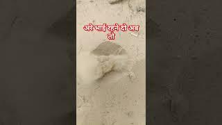 kal yug ri aandi #rajasthan #rajasthanisong #song #music #shorts #viralvideo