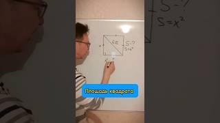 Ищем площадь квадрата #шортс #математика #shorts #квадрат #топ #рекомендации