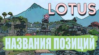 Лотус Позиции | Названия позиций на Lotus (для микса,команды)