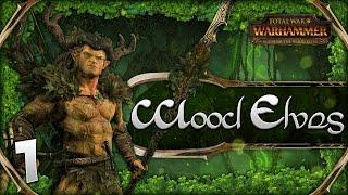 THE KING OF THE WOODS! Total War: Warhammer - Wood Elves Campaign #1