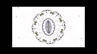 Roses And Rainbows (Danny Hutton) - J. Henry "Jim" Harrison, Vocals