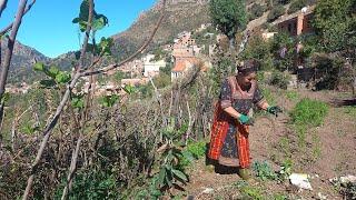 La Vie Quotidienne à La Campagne En Kabylie : Reportage à Ait Ouabane "Akbil" Michelet à Tizi ouzou