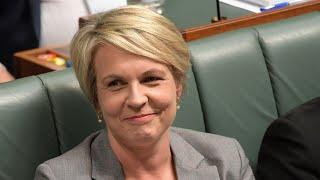 ‘We all are onto her’: Tanya Plibersek vetoed gold mine to save her seat