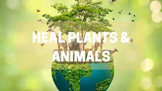 Heal Plants & Animals | Energy Healing Protocol