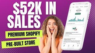 $100k via Pre Built Shopify store