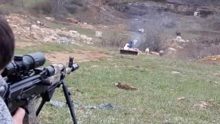 Высокоточная Сайга МК 7.62х39, стрельба на 50-100метров