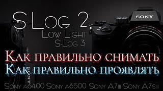 Как СНИМАТЬ и ПРОЯВИТЬ видео в SLog2 и SLog3 | СЪЕМКА в Low Light SLog-2. Проявка в DaVinci, Primer