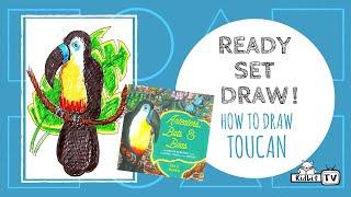 Ready Set Draw! How to Draw a TOUCAN from ANTEATERS, BATS & BOAS with Roxie Munro