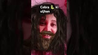 cobra  ki uljhan #lifeofpreeti #ankushagnihotri #chaikidiwanipriyanka