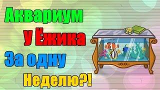 Шарарам Как получить аквариум у Ёжика?!