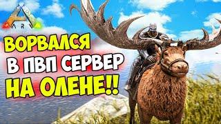 ARK -  БЫСТРЫЙ СТАРТ на ПВП АПОКАЛИПСИС в СОЛО! ЛУЧШАЯ ЖИВКА в ПВП - ОЛЕНЬ! Батя Леголаса #1