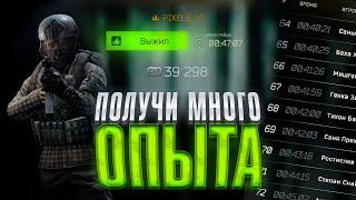 НОВЫЙ СПОСОБ ГРИНДИТЬ ОПЫТ В ТАРКОВЕ | ESCAPE FROM TARKOV | EFT | PIXEL8