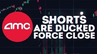 AMC STOCK UPDATE: AMC SHORTS ARE DUCKED! DTCC FORCE CLOSING!