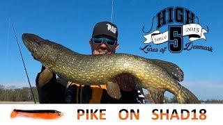 High 5 Lures, SHAD18 - Kayak Pike KAPOW!
