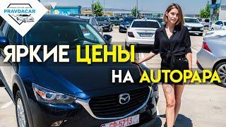 Приятные цены на авто из США в Грузии. Обзор цен на рынке Autopapa.