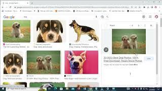 How To Copy Image Link From Google In Laptop