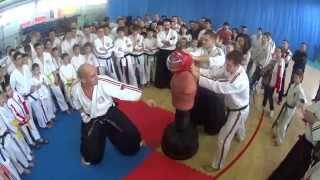 KOSHIKI KARATE - Shihan Oleg Eston helmet crash-test