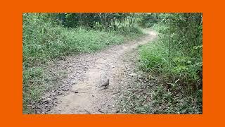 Hiking Tin Shui Wai