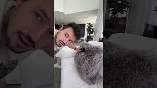 What Does a $4 Million Penthouse Sound Like? ASMR ️