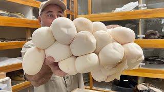 MOTHERLOAD of GIANT SNAKE EGGS  