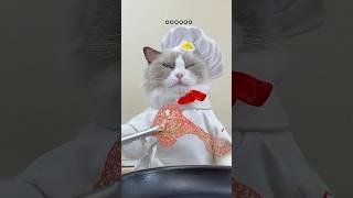  Puff's cooking up some wild kitchen creations! What's on the menu today? ️ #thatlittlepuff