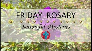 Friday Rosary • Sorrowful Mysteries of the Rosary  June 20, 2025 VIRTUAL ROSARY - MEDITATION