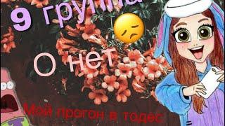 Мой прогон в TODES 