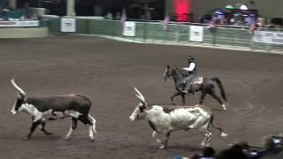 John Payne - The One Arm Bandit - Night of the Horse 2017 - Del Mar National Horse Show