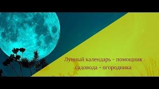 Лунный календарь садовода - огородника. Почему Лунный календарь важен для растений?