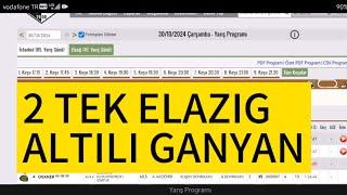 30 Ekim 2024 Çarşamba Elazığ at yarışı tahminleri Elazığ altılı ganyan tahminleri | Oğulcan Karaca