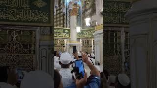 Madina live | MADINA hd | #haramsharif #islamicshorts