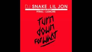 DJ Snake Feat Lil Jon & Pitbull & Ludacris Turn Down For What (Remix)